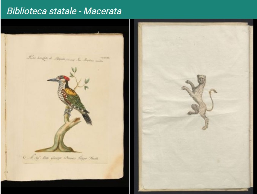 internet culturale- biblioteca statale di macerata